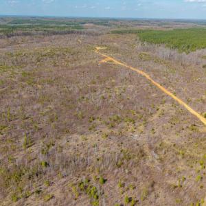 Photo #12 of CHURCHWOOD LN, CUMBERLAND, VA 208.7 acres