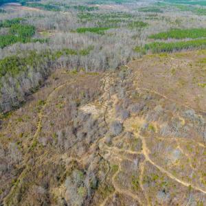 Photo #14 of CHURCHWOOD LN, CUMBERLAND, VA 208.7 acres