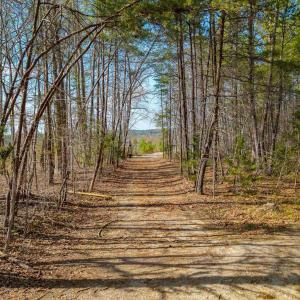 Photo #3 of CHURCHWOOD LN, CUMBERLAND, VA 208.7 acres