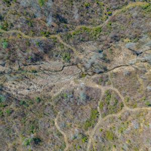 Photo #13 of CHURCHWOOD LN, CUMBERLAND, VA 208.7 acres