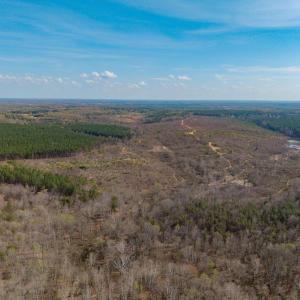 Photo #17 of CHURCHWOOD LN, CUMBERLAND, VA 208.7 acres