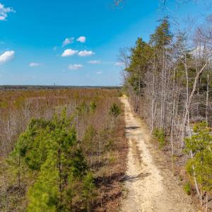 Photo #7 of CHURCHWOOD LN, CUMBERLAND, VA 208.7 acres