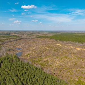 Photo #10 of CHURCHWOOD LN, CUMBERLAND, VA 208.7 acres