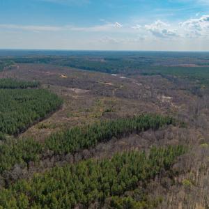 Photo #18 of CHURCHWOOD LN, CUMBERLAND, VA 208.7 acres