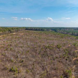 Photo #34 of CHURCHWOOD LN, CUMBERLAND, VA 208.7 acres