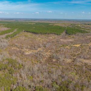 Photo #15 of CHURCHWOOD LN, CUMBERLAND, VA 208.7 acres