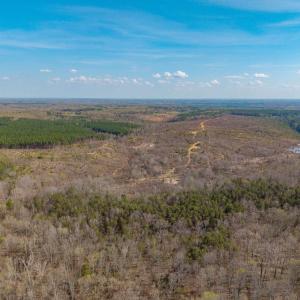 Photo #16 of CHURCHWOOD LN, CUMBERLAND, VA 208.7 acres