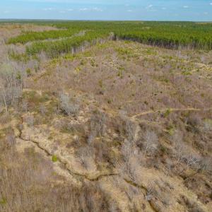 Photo #25 of CHURCHWOOD LN, CUMBERLAND, VA 208.7 acres