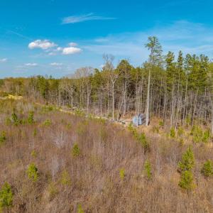 Photo #6 of CHURCHWOOD LN, CUMBERLAND, VA 208.7 acres