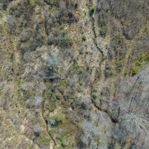 Photo #21 of CHURCHWOOD LN, CUMBERLAND, VA 208.7 acres