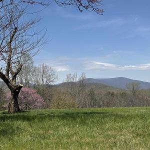 Photo #10 of Lot 17R MIMOSA LN, FABER, VA 2.4 acres
