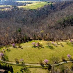 Photo #18 of Lot 17R MIMOSA LN, FABER, VA 2.4 acres
