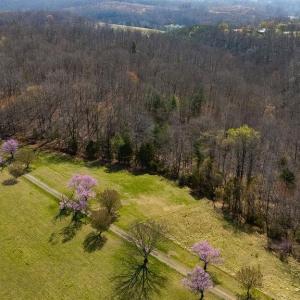 Photo #17 of Lot 17R MIMOSA LN, FABER, VA 2.4 acres