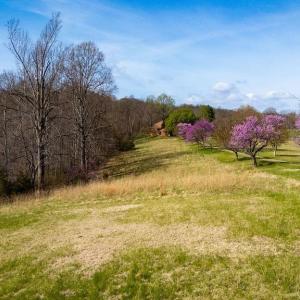 Photo #6 of Lot 17R MIMOSA LN, FABER, VA 2.4 acres