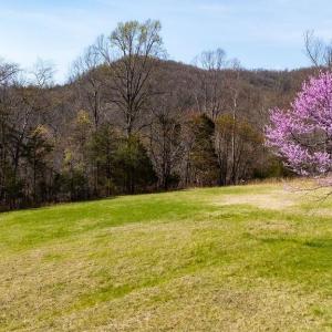 Photo #5 of Lot 17R MIMOSA LN, FABER, VA 2.4 acres