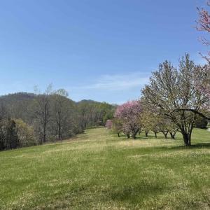 Photo #7 of Lot 17R MIMOSA LN, FABER, VA 2.4 acres