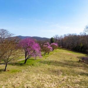 Photo #12 of Lot 17R MIMOSA LN, FABER, VA 2.4 acres