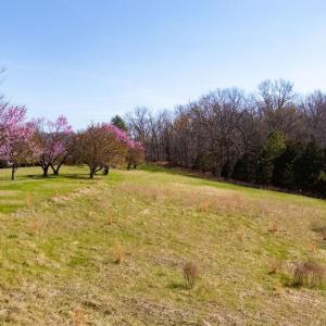 Photo #8 of Lot 17R MIMOSA LN, FABER, VA 2.4 acres