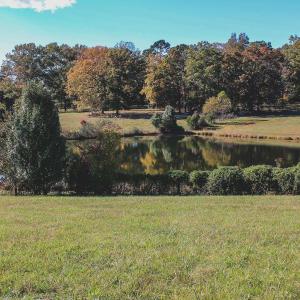 Photo #27 of TBD ROLLING RD S, SCOTTSVILLE, VA 26.3 acres
