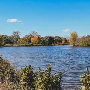 Photo #10 of TBD ROLLING RD S, SCOTTSVILLE, VA 26.3 acres