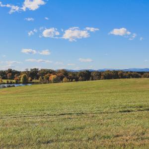Photo #12 of TBD ROLLING RD S, SCOTTSVILLE, VA 26.3 acres
