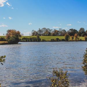 Photo #15 of TBD ROLLING RD S, SCOTTSVILLE, VA 26.3 acres