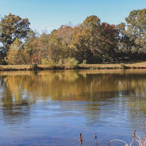 Photo #25 of TBD ROLLING RD S, SCOTTSVILLE, VA 26.3 acres