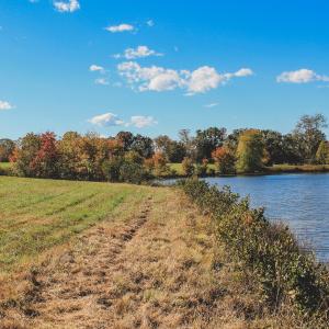 Photo #11 of TBD ROLLING RD S, SCOTTSVILLE, VA 26.3 acres