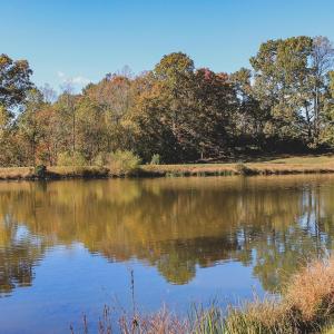 Photo #23 of TBD ROLLING RD S, SCOTTSVILLE, VA 26.3 acres