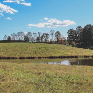 Photo #21 of TBD ROLLING RD S, SCOTTSVILLE, VA 26.3 acres