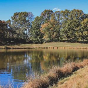 Photo #26 of TBD ROLLING RD S, SCOTTSVILLE, VA 26.3 acres