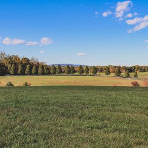 Photo #28 of TBD ROLLING RD S, SCOTTSVILLE, VA 26.3 acres