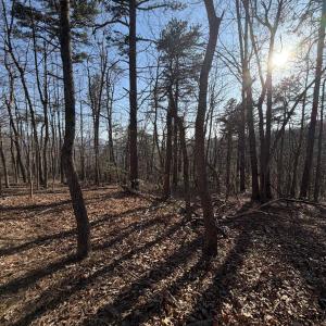 Photo #19 of OLD STONY RIDGE RD, AFTON, VA 12.5 acres