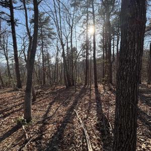 Photo #22 of OLD STONY RIDGE RD, AFTON, VA 12.5 acres