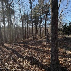 Photo #20 of OLD STONY RIDGE RD, AFTON, VA 12.5 acres