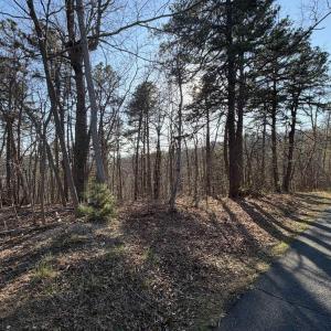 Photo #18 of OLD STONY RIDGE RD, AFTON, VA 12.5 acres