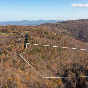 Photo #4 of OLD STONY RIDGE RD, AFTON, VA 12.5 acres