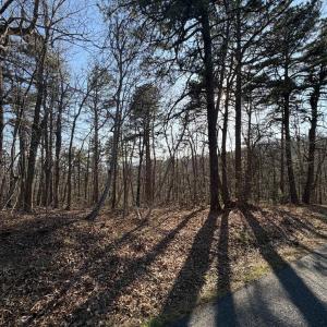 Photo #16 of OLD STONY RIDGE RD, AFTON, VA 12.5 acres