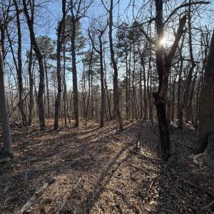 Photo #14 of OLD STONY RIDGE RD, AFTON, VA 12.5 acres