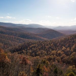 Photo #5 of OLD STONY RIDGE RD, AFTON, VA 12.5 acres