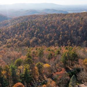 Photo #6 of OLD STONY RIDGE RD, AFTON, VA 12.5 acres