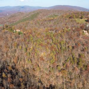 Photo #17 of OLD STONY RIDGE RD, AFTON, VA 12.5 acres