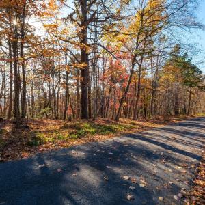 Photo #2 of OLD STONY RIDGE RD, AFTON, VA 12.5 acres