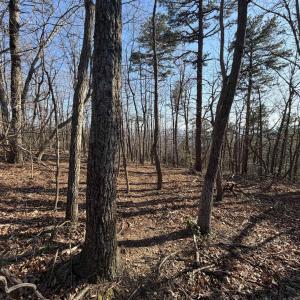 Photo #21 of OLD STONY RIDGE RD, AFTON, VA 12.5 acres
