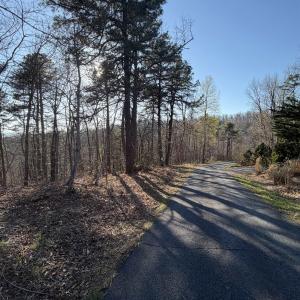 Photo #11 of OLD STONY RIDGE RD, AFTON, VA 12.5 acres