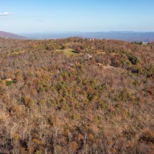 Photo #15 of OLD STONY RIDGE RD, AFTON, VA 12.5 acres