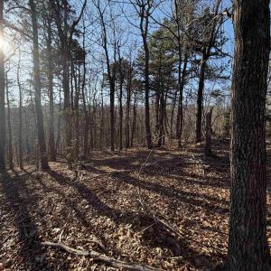 Photo #7 of OLD STONY RIDGE RD, AFTON, VA 12.5 acres