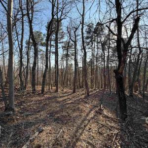 Photo #4 of OLD STONY RIDGE RD, AFTON, VA 12.5 acres