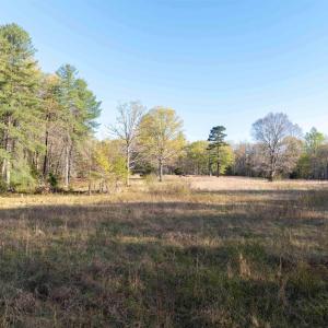 Photo #4 of LINDSAY RD, GORDONSVILLE, VA 33.2 acres