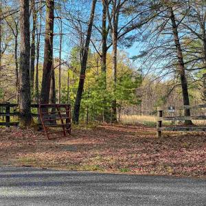 Photo #8 of LINDSAY RD, GORDONSVILLE, VA 33.2 acres